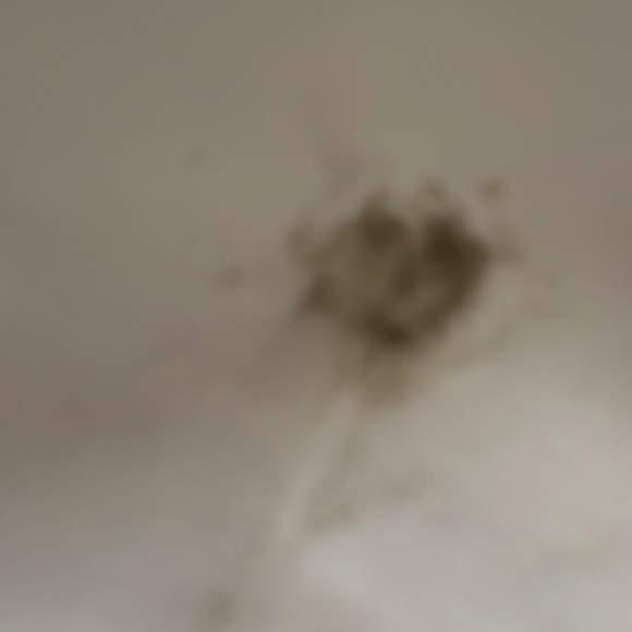 Gray Lulus long gown size small - Picture 5 of 6